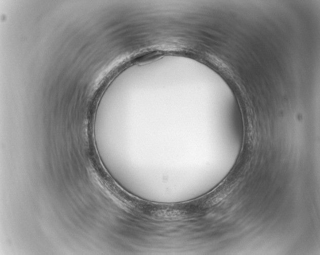 X0000054470535200508270132