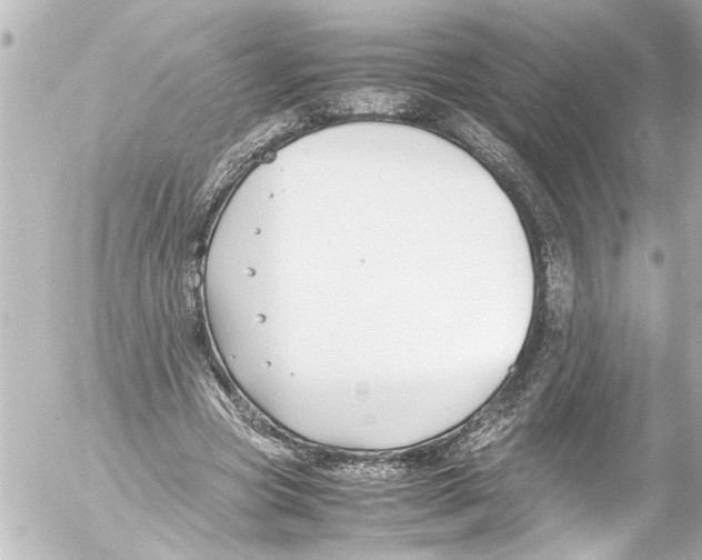 X0000054470537200508270132