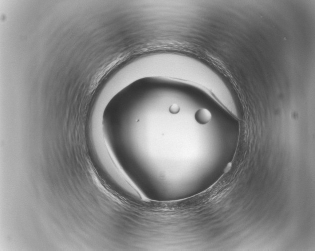 X0000054470538200508270132