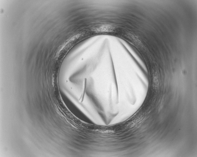 X0000054470539200508270132