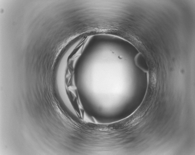 X0000054470540200508270132