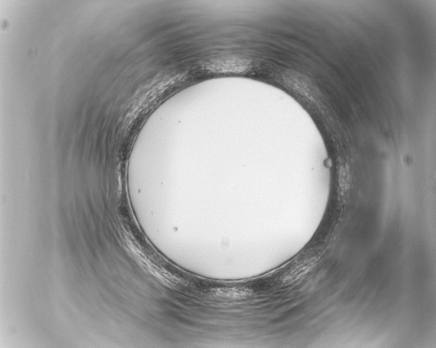 X0000054470541200508270132