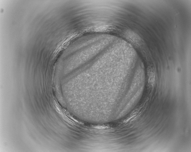 X0000054470542200508270132