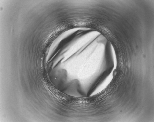 X0000054470543200508270132