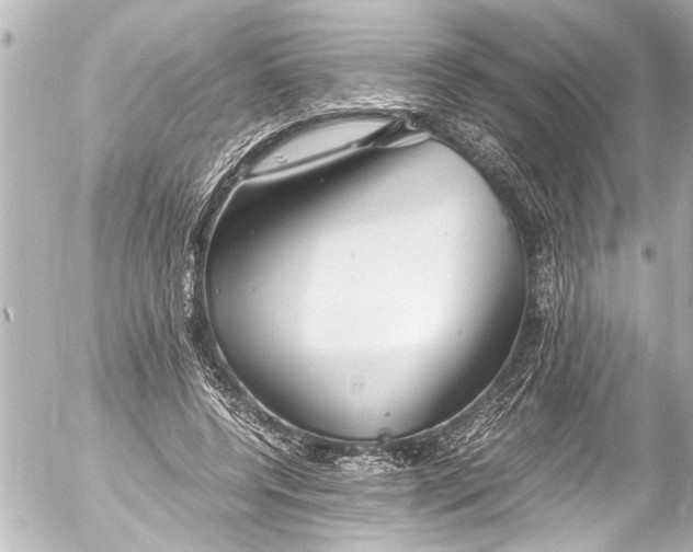 X0000054470544200508270132