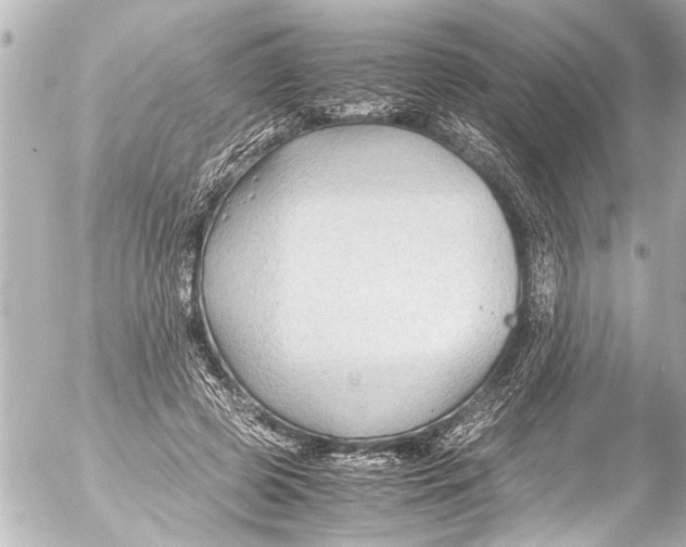 X0000054470545200508270132