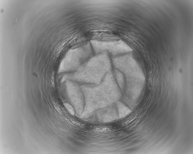 X0000054470547200508270132