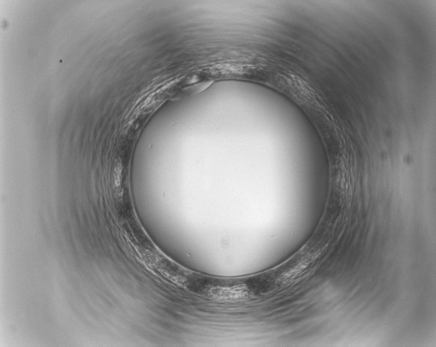 X0000054470548200508270132