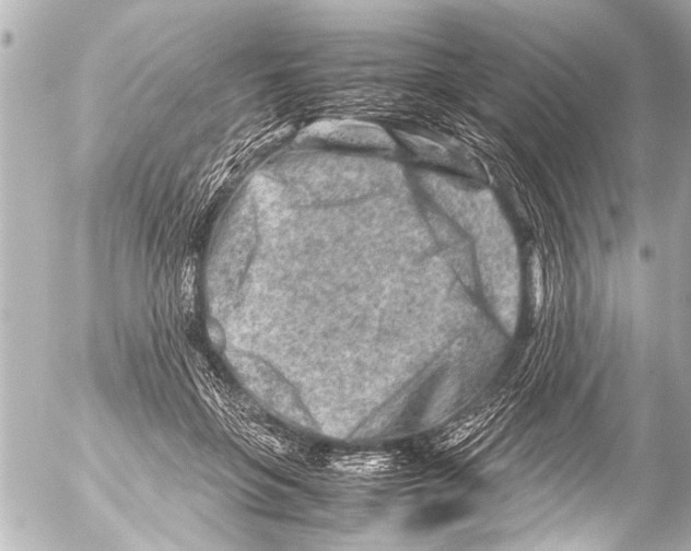 X0000054470551200508270132