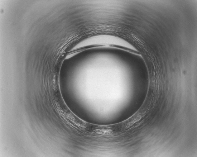 X0000054470552200508270132