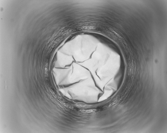 X0000054470553200508270132