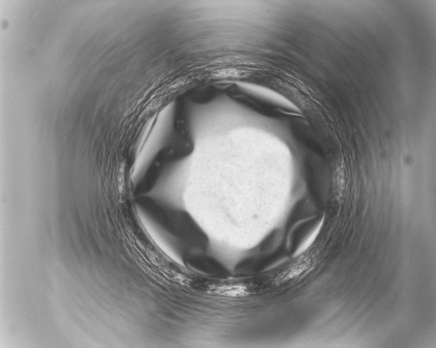 X0000054470554200508270132