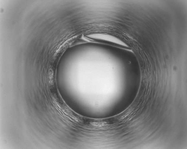 X0000054470556200508270132