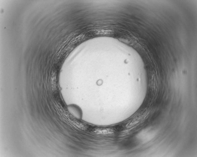 X0000054470557200508270132