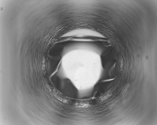 X0000054470559200508270132