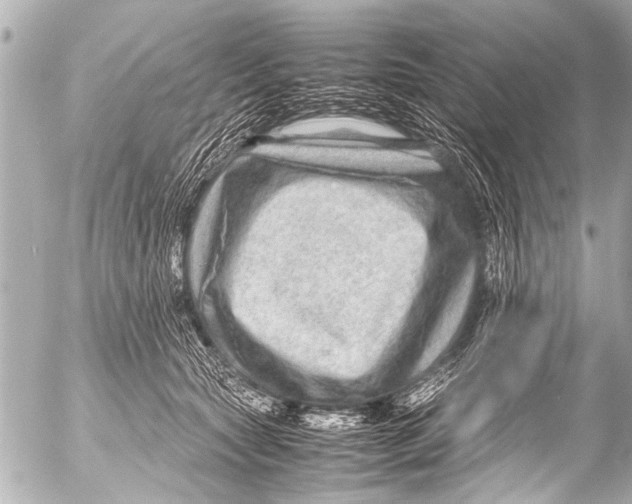 X0000054470561200508270132