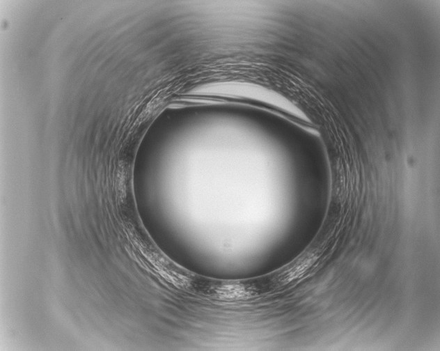 X0000054470562200508270132