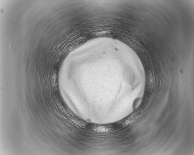 X0000054470565200508270132