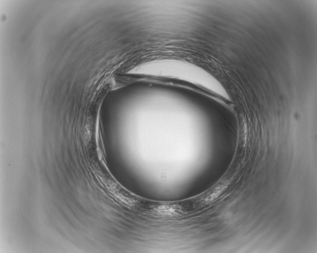 X0000054470566200508270132