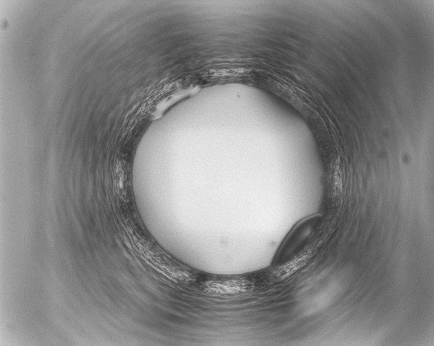 X0000054470567200508270132