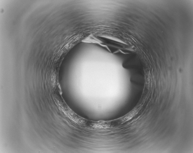 X0000054470568200508270132