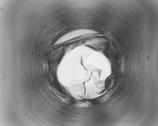 X0000054470569200508270132