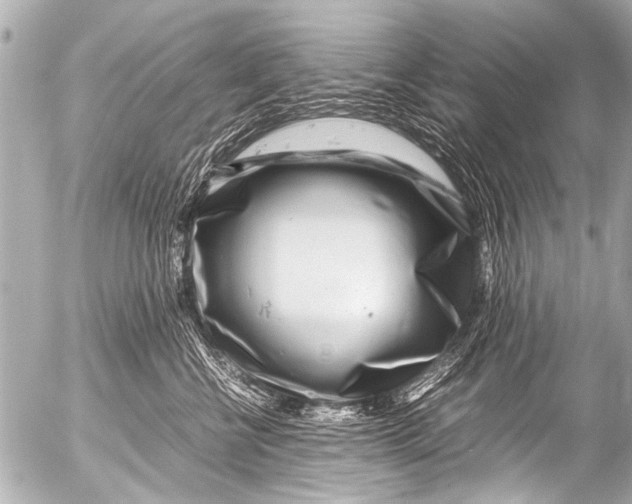 X0000054470570200508270132