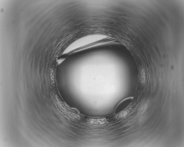 X0000054470571200508270132