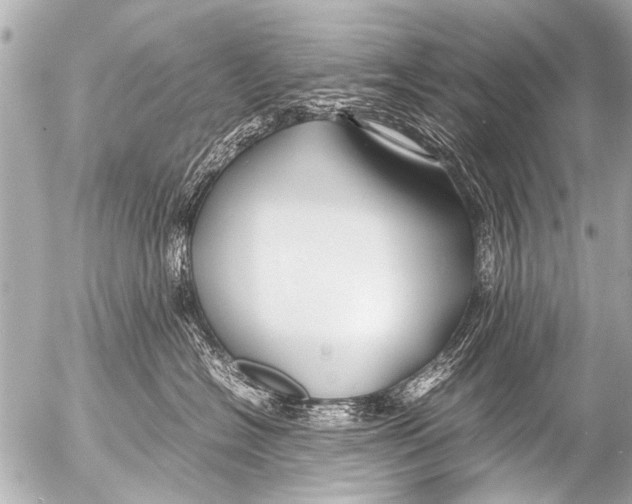 X0000054470574200508270132