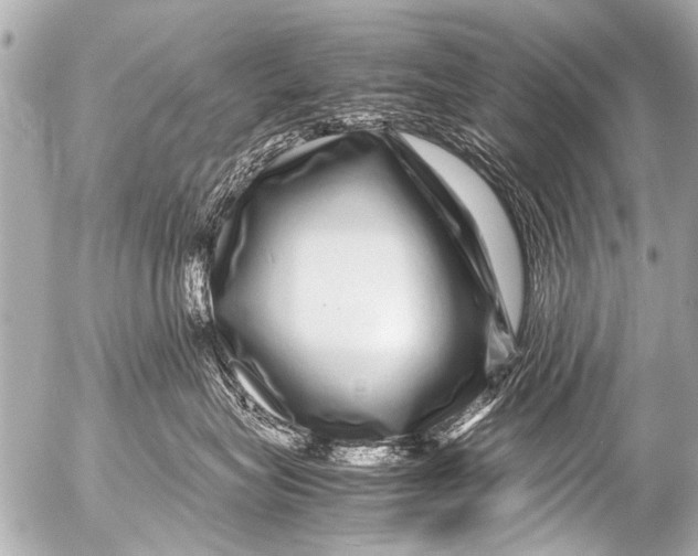 X0000054470575200508270132