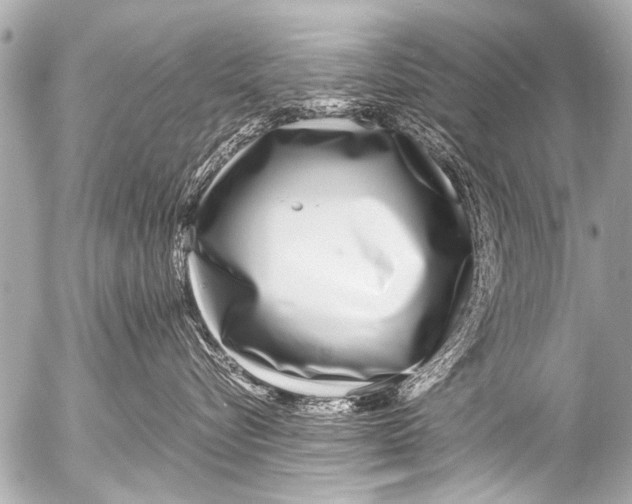 X0000054470576200508270132