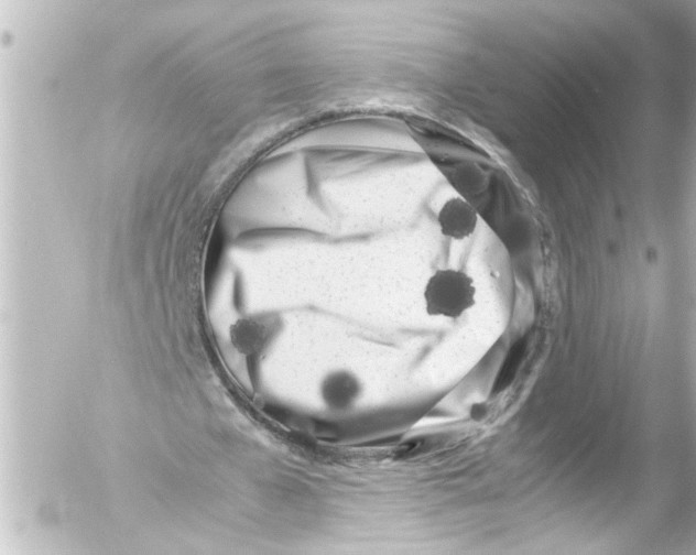 X0000054470577200508270132