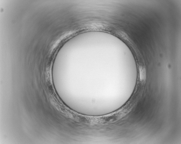 X0000054470579200508270132