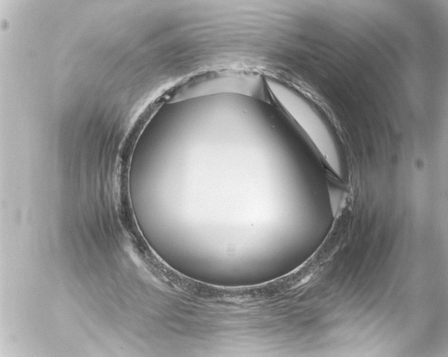 X0000054470580200508270132