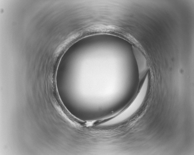 X0000054470581200508270131