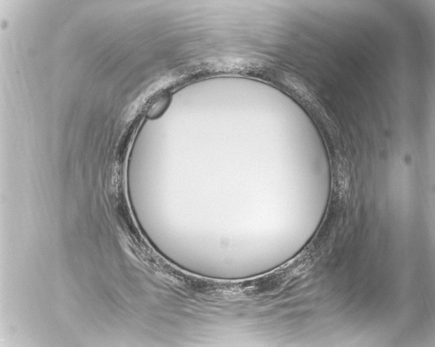 X0000054470583200508270131