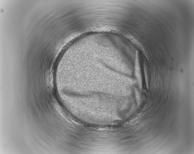 X0000054470584200508270131