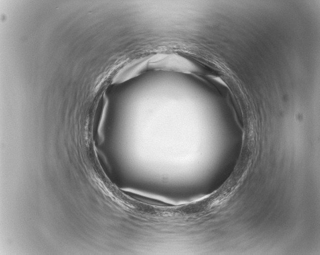 X0000054470585200508270131