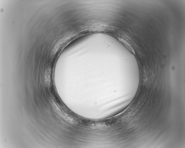 X0000054470586200508270131