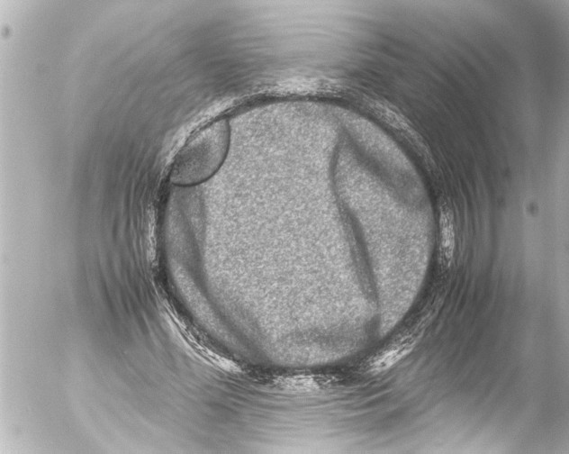 X0000054470588200508270131