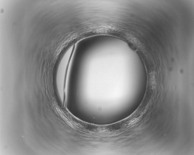 X0000054470589200508270131