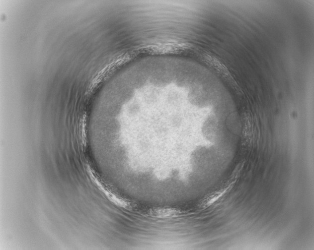 X0000054470590200508270131