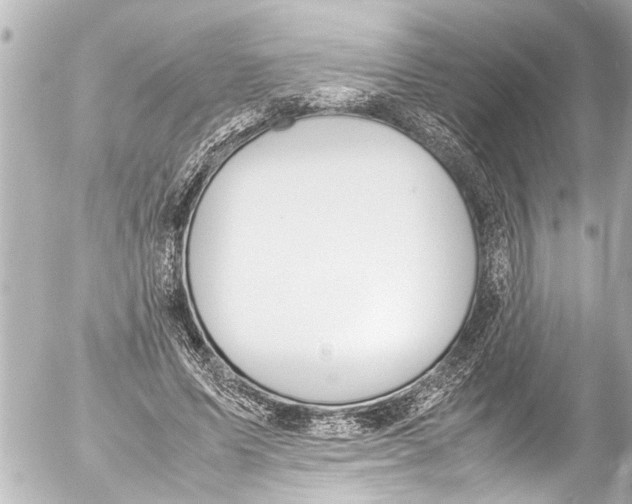 X0000054470591200508270131