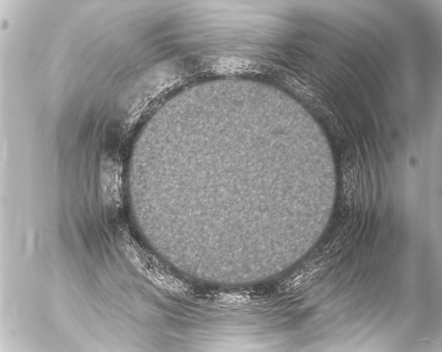 X0000054470592200508270131