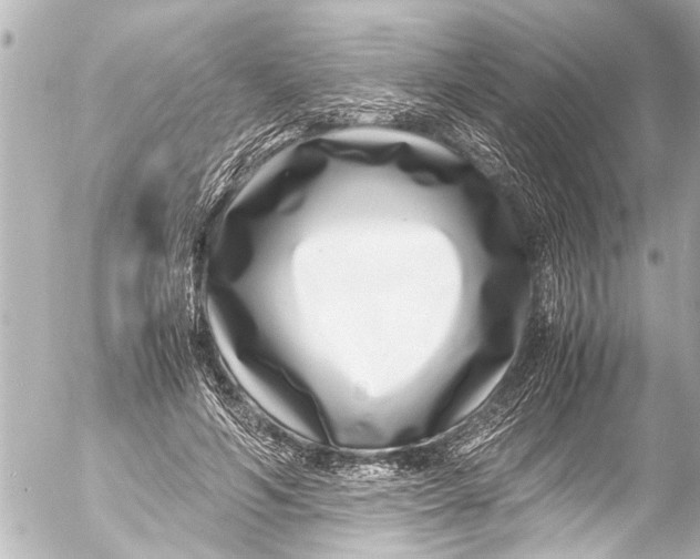 X0000054470594200508270131