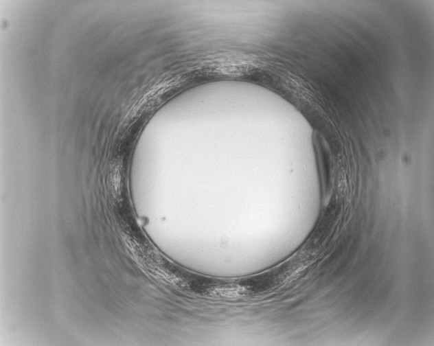 X0000054470595200508270131