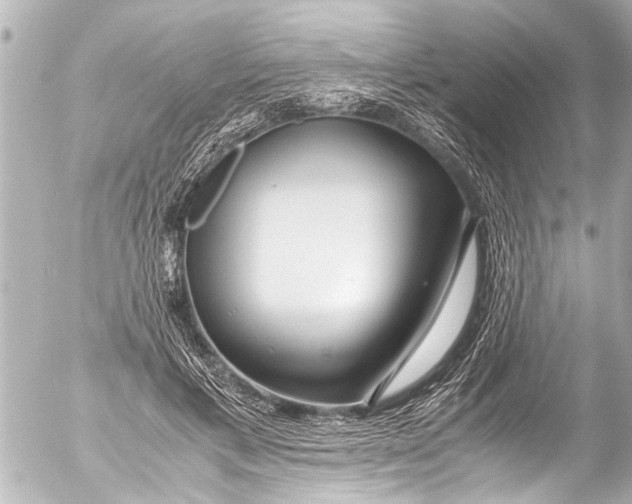 X0000054470597200508270131