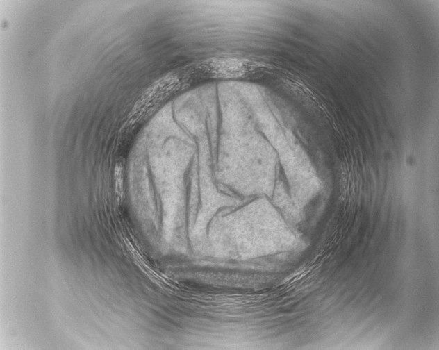 X0000054470598200508270131