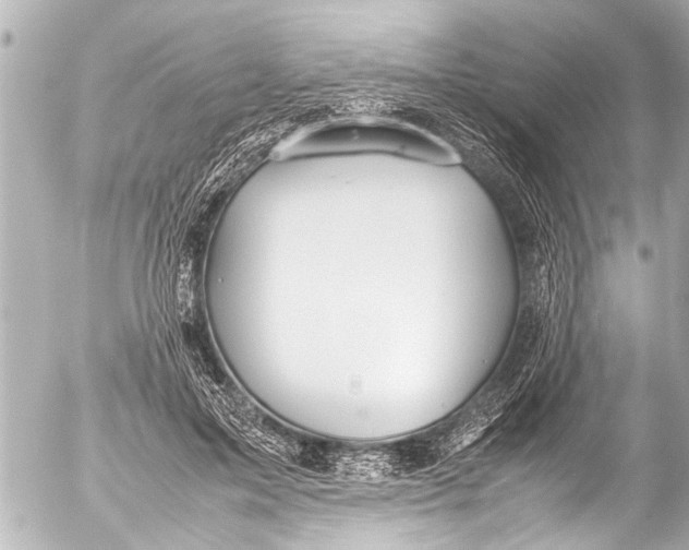 X0000054470599200508270131