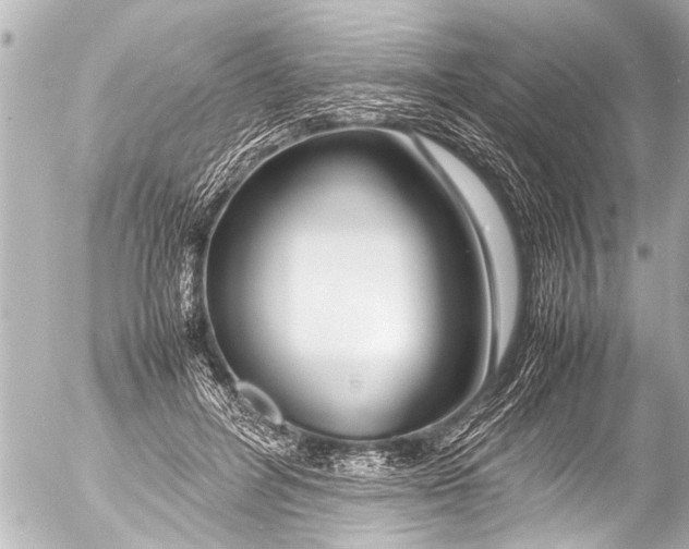 X0000054470600200508270131